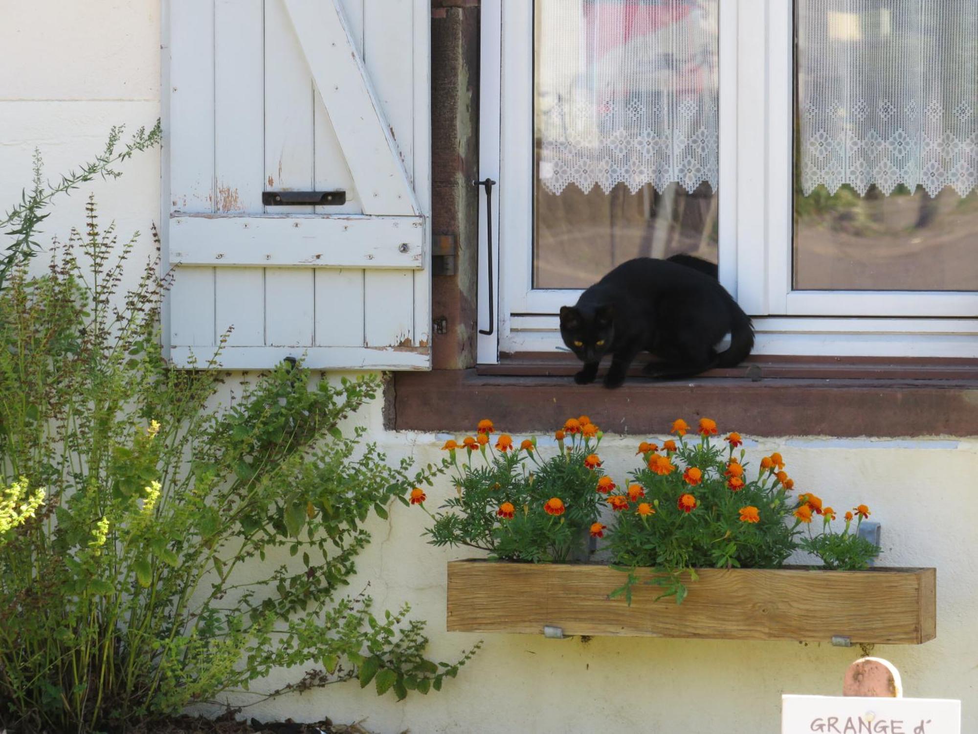 Grange D'Anjeux Bed & Breakfast Exterior foto